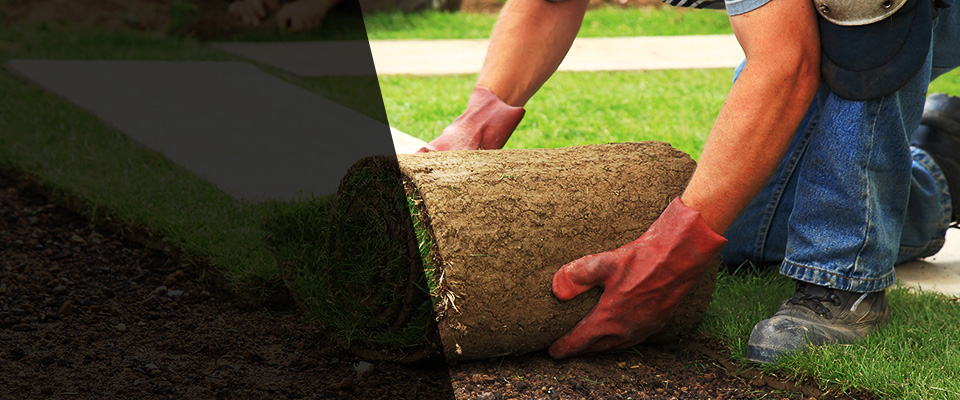 Rice Landscapers